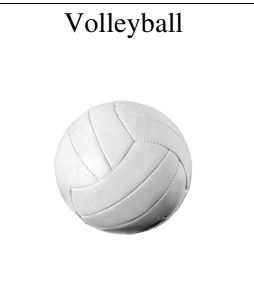 Volleyball vor weißem Hintergrund